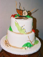 tiered bug cake