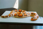 snake cake